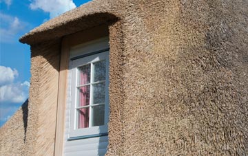 Branderburgh thatch roof disadvantages
