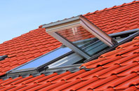 Branderburgh roof window